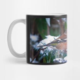 Male Chaffinch Garden Bird Mug